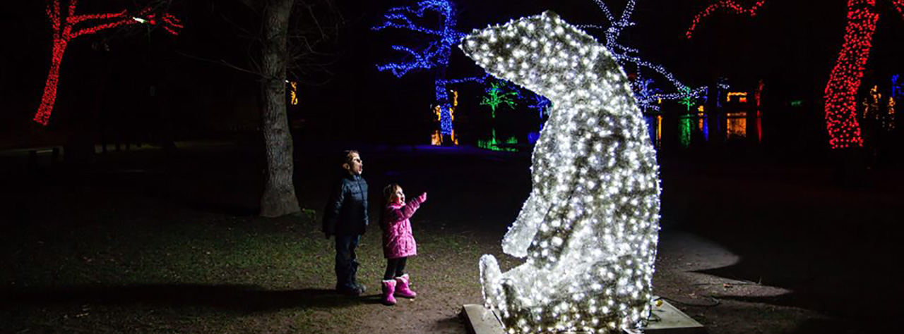 Winter Festival of Lights Photo by Chris Empey
