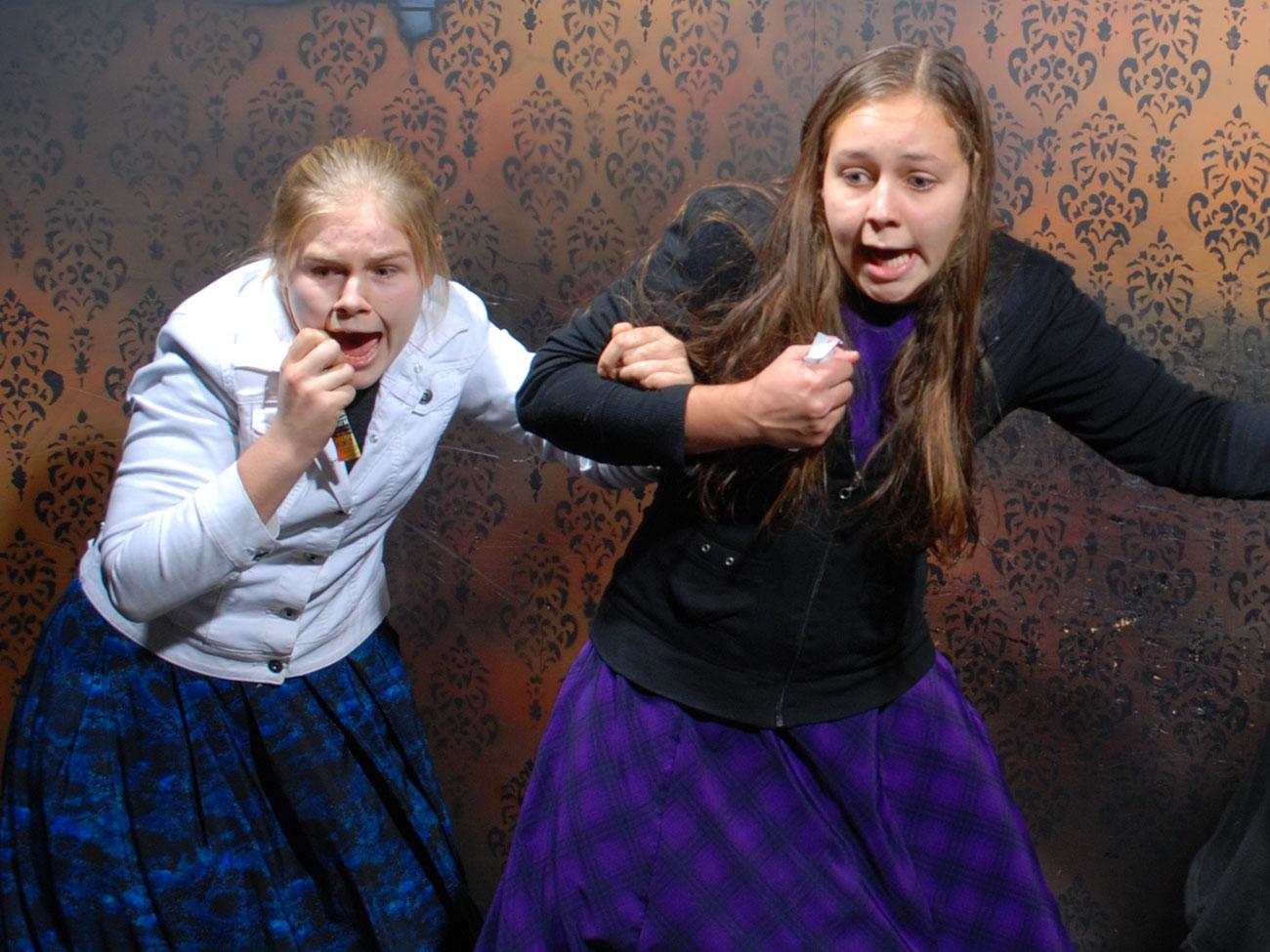 Niagara Falls Nightmares Fear Factory