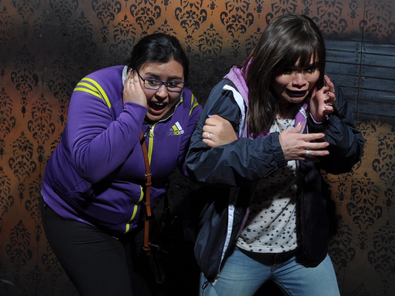 Hilarious Fear Pic April 25th, Nightmares Fear Factory