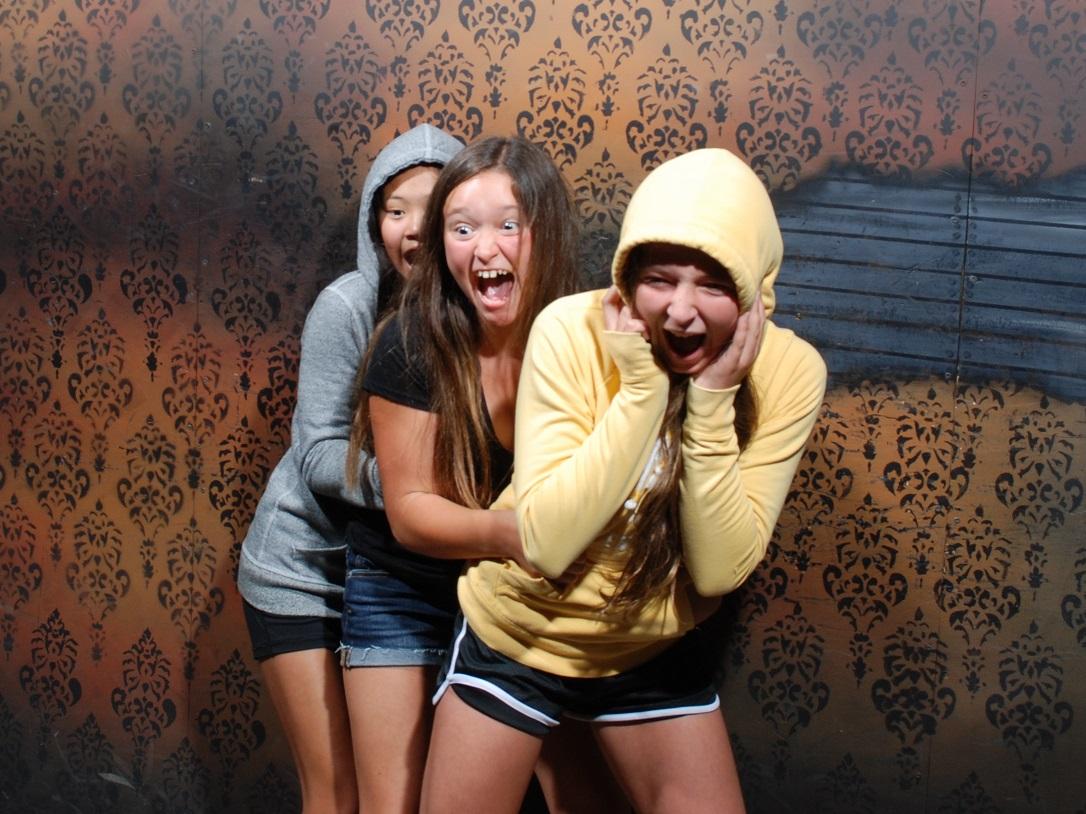 Niagara Falls Nightmares Fear Factory