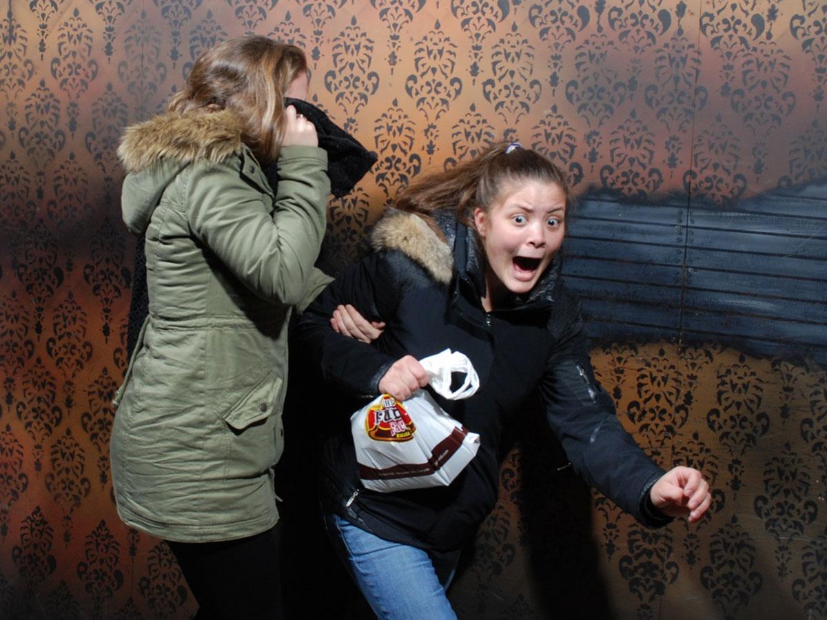 Niagara Falls Nightmares Fear Factory