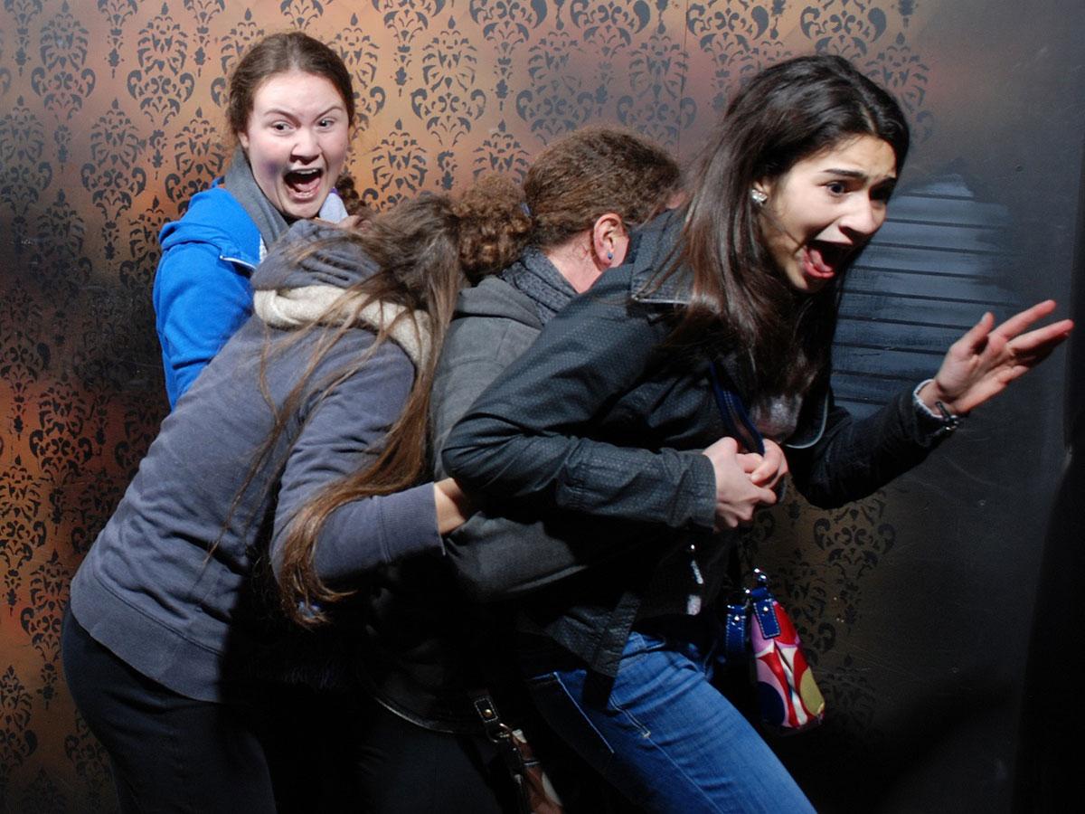 Niagara Falls Nightmares Fear Factory